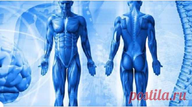 Новости - МирТесен