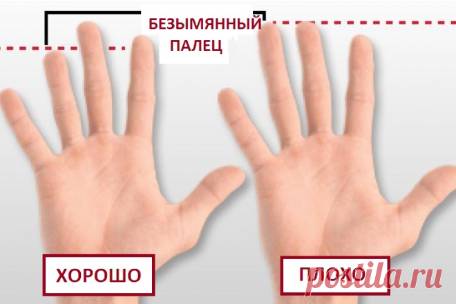 Ученые обнаружили, что длина безымянного пальца мужчины влияет на его сексуальные способности | Милая Я Ученые обнаружили удивительную взаимосвязь между длиной пальцев мужчин и их сексуальными способностями. Как оказалось, мужчины, безымянные пальцы которых короче или одной длины с указательными, могут намного дольше не эякулировать во время секса. А вот те, у кого безымянные пальцы заметно длиннее указательных, скорее всего, будут иметь проблемы в постели. В исследовании ...