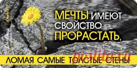 мотивация
