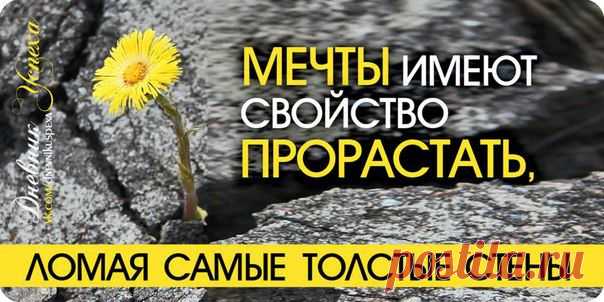 мотивация