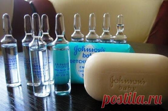 Правила здоровья и долголетия