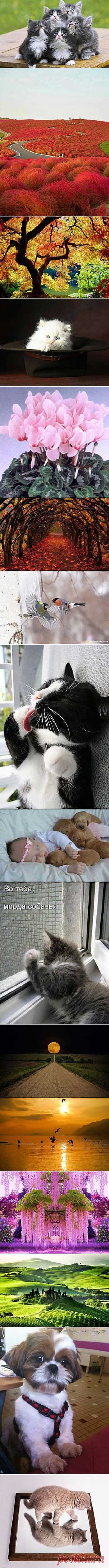 (1) Facebook
