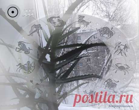 Гороскоп на неделю с 20.01 по 26.01.2020 | Астропропаганда | Яндекс Дзен
✨ Автор: астролог Нина Стрелкова. ✧ Вечером 20 января, в 17 ч. 56 мин. по Московскому времени Солнце переходит в знак Водолея, постоянно настроенный на будущее, но на самом деле крепко сидящий в настоящем. В месяц Водолея многим хочется перемен. Люди больше склонны к общению и разговорам, но действовать предпочитают по шаблону, как бы они ни критиковали этот самый шаблон. Перемены в месяц Водолея обычно приходят сами...