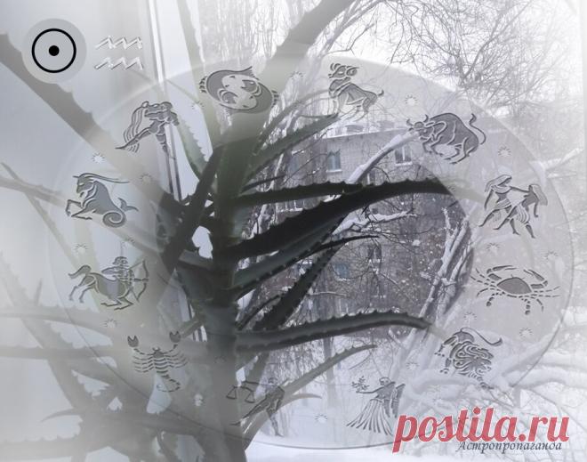 Гороскоп на неделю с 20.01 по 26.01.2020 | Астропропаганда | Яндекс Дзен
✨ Автор: астролог Нина Стрелкова. ✧ Вечером 20 января, в 17 ч. 56 мин. по Московскому времени Солнце переходит в знак Водолея, постоянно настроенный на будущее, но на самом деле крепко сидящий в настоящем. В месяц Водолея многим хочется перемен. Люди больше склонны к общению и разговорам, но действовать предпочитают по шаблону, как бы они ни критиковали этот самый шаблон. Перемены в месяц Водолея обычно приходят сами...