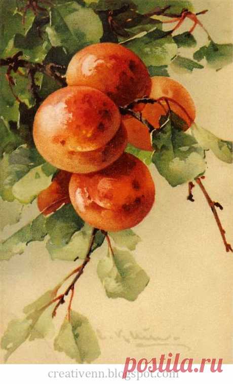 (300) Frukt. For arbeider i stil med Vintage. Catherine Klein:. ♥ Creative NN. Albina Rasseinoy blogg. ♥ | DIY Vintage Garden