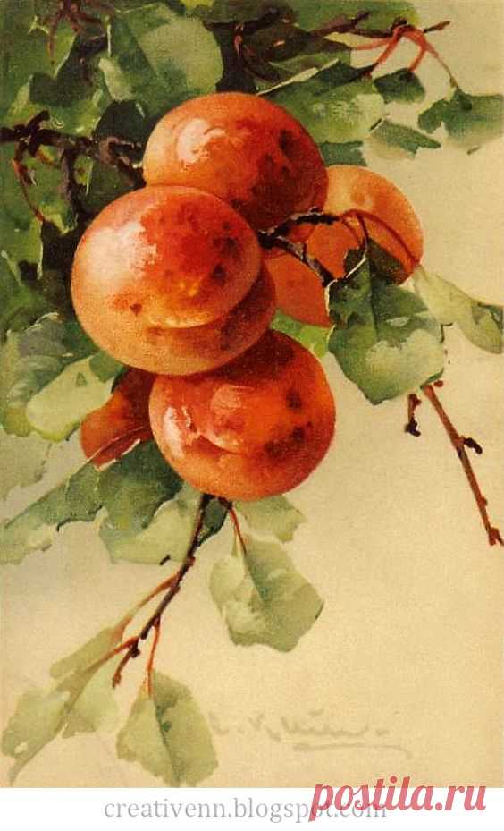 (300) Frukt. For arbeider i stil med Vintage. Catherine Klein:. ♥ Creative NN. Albina Rasseinoy blogg. ♥ | DIY Vintage Garden