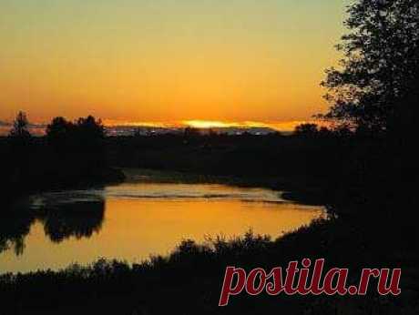 (6) Facebook