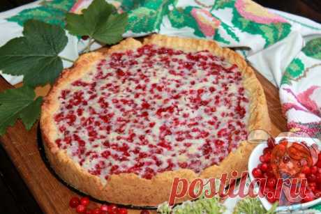 Пирог с брусникой и сметаной из песочного теста | рецепт с фото Дары леса преподносят нам новые возможности. Пирог с брусникой – яркий представитель простой, но очень нарядной домашней еды с плодами тихой охоты.