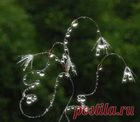 Прекрасное творение природы...