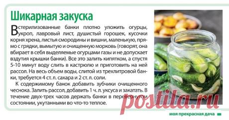 Шикарная закуска - огурчики