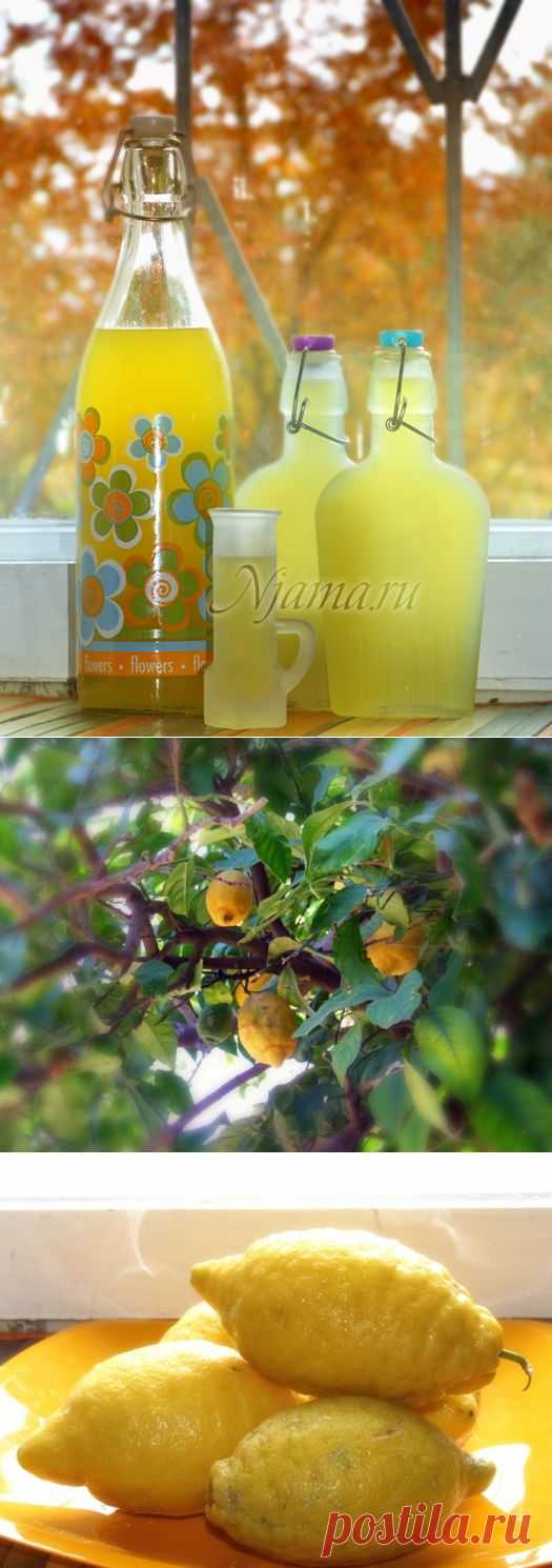 Лимончелло / Limoncello — итальянский лимонный ликёр | Готовим вместе с Нямой