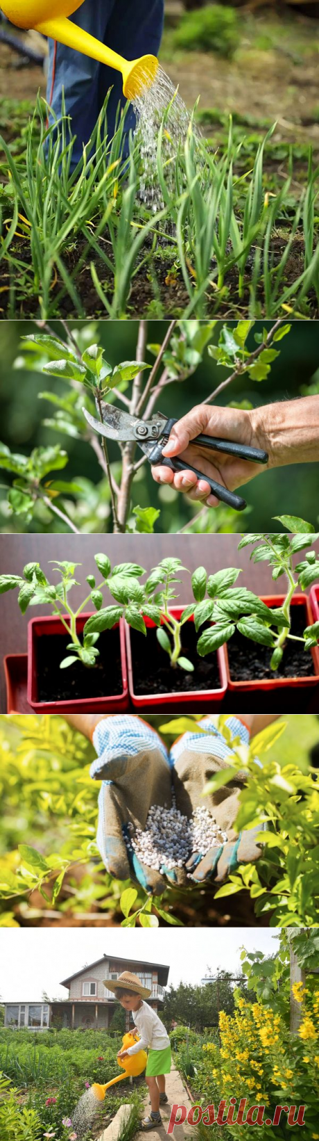 Самые непростительные ошибки во время садоводства. Это надо знать!