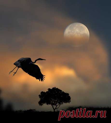 хх