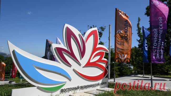 В "Росконгрессе" рассказали о подготовке Приморья к ВЭФ — 2025