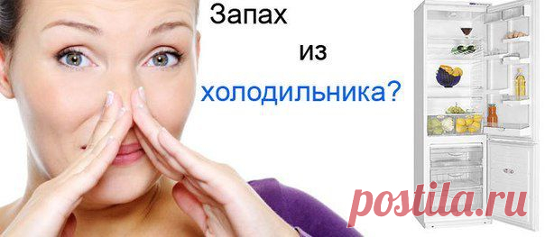 Как убрать запах из холодильника | Страна Полезных Советов