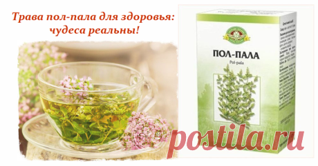 Трава пол-пала для здоровья: чудеса реальны