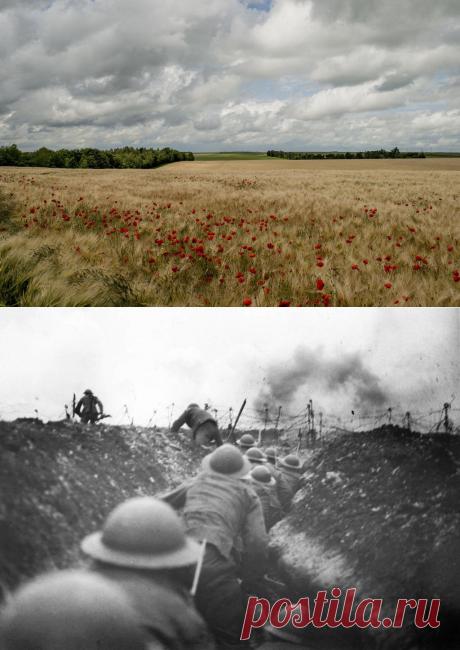 The War to End All Wars? Hardly. But It Did Change Them Forever. - NYTimes.com