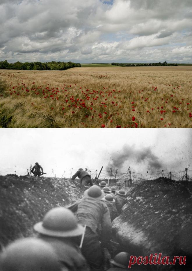 The War to End All Wars? Hardly. But It Did Change Them Forever. - NYTimes.com