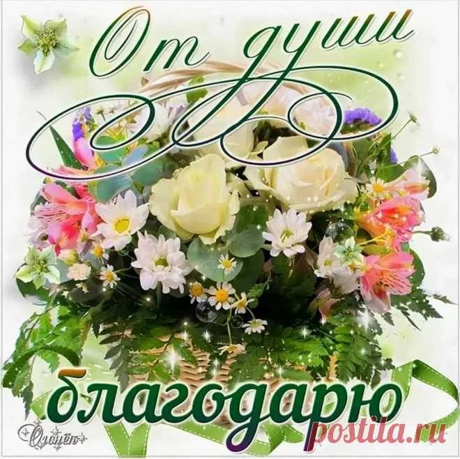 От души благодарю!