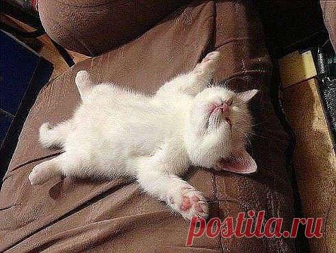 Так я выгляжу когда прихожу с работы!!!!