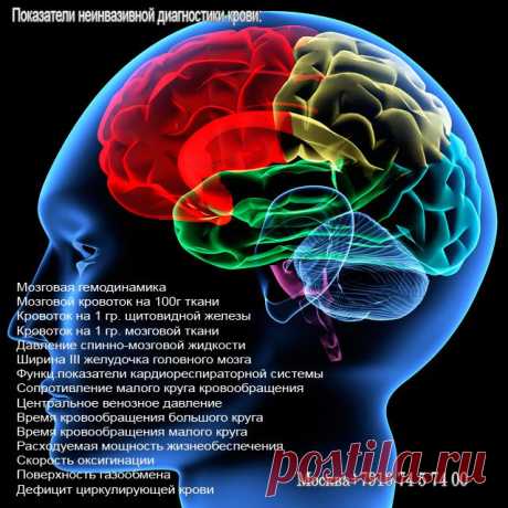 Неинвазивный анализ крови (без укола и забора крови – в течение 10 мин. 136 параметров крови ). Данная диагностика позволяет оценить состояние как отдельных органов и систем так и всего организма в целом за минимальное время. 5 мин.пешком от м.Каховская или м.Нахимовский проспект. +7 9167457400