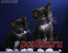 Apskatīt ziņojumu - Inbox Mail