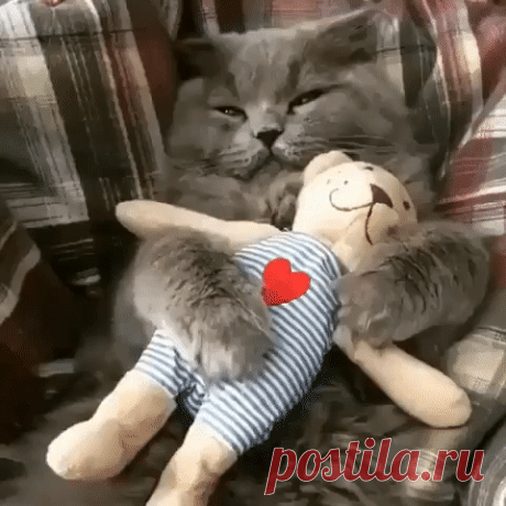 Руки убрал