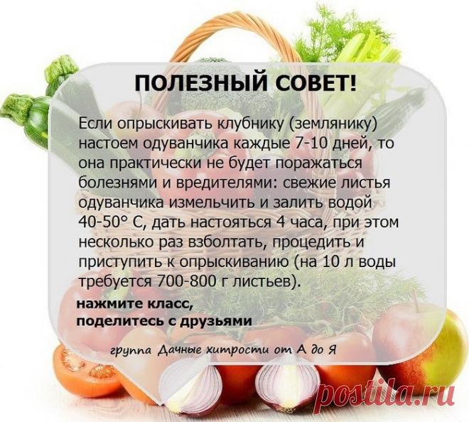 Дачные хитрости