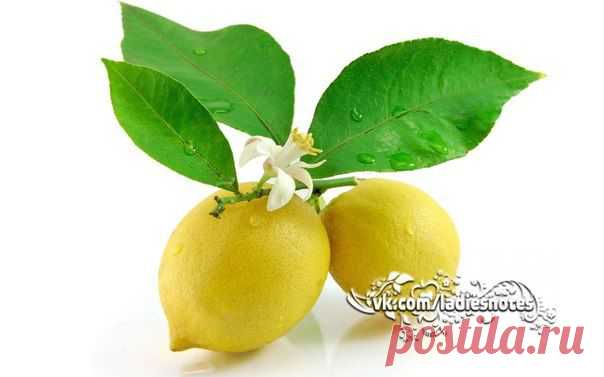 Лимон– убийца семи болезней
Лимон – фрукт на все случаи жизни. В нем настолько много витаминов и полезных веществ, что, пожалуй, сложно найти нечто более универсальное. 
И при ангине, и при тошноте, даже при гепатите вспомните про лимон!