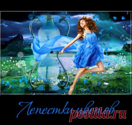 Лепестки цветов на прозрачном фоне