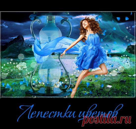 Лепестки цветов на прозрачном фоне