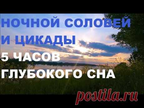 КРЕПКИЙ СОН ПОД ПЕНИЕ НОЧНОГО СОЛОВЬЯ,СВЕРЧКОВ И  ЦИКАД ВАМ ОБЕСПЕЧЕН.ЗВУКИ ПРИРОДЫ БЛАГОТВОРНЫ.
