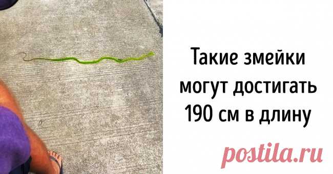 Девушка, переехавшая в Таиланд, рассказывает о том, что скрыто в этой стране от глаз туристов