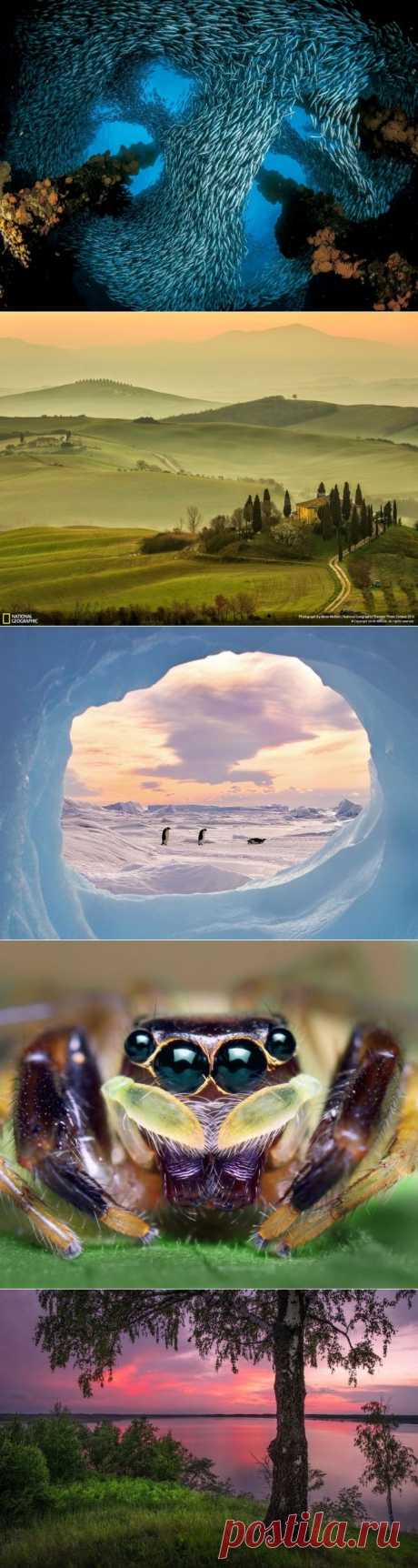 Лучшие фотографии National Geographic за июль