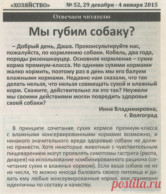 Можно ли комбинировать сухие и влажные корма для собаки