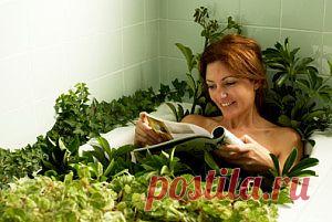 5 лучших трав для женского здоровья | Самые популярные и самые вкусные рецепты с видео