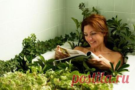 5 лучших трав для женского здоровья | Самые популярные и самые вкусные рецепты с видео