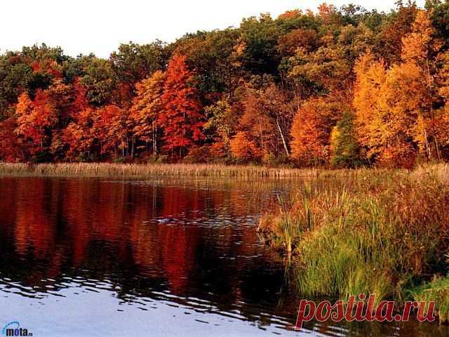 осень золотая