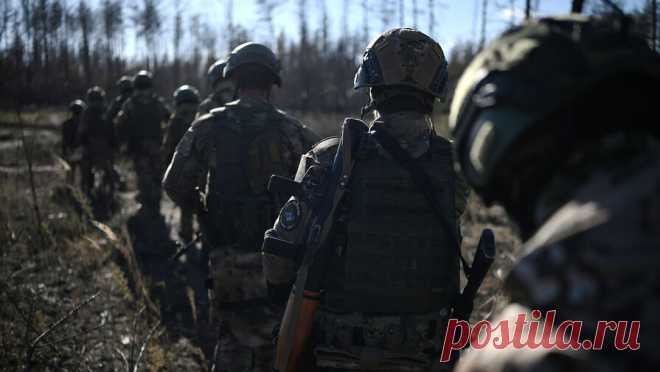 Член ОП РФ заявил о росте авторитета военнослужащих в России. Россияне встречают День защитника Отечества с воодушевлением и с ожиданием победы в специальной военной операции, заявил "Газете.Ru" директор Некоммерческого фонда исследования проблем демократии, член Общественной палаты РФ, ...