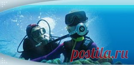 Ныряем и шутим / Сафари «Тайны затонувших кораблей». Итоги. / Дайвинг Центр Наутилус +7-495-726-8666, Беляево, Профсоюзная 83б, Москва / Обучение дайвингу сертификат PADI / PADI Diving Club Nautilus