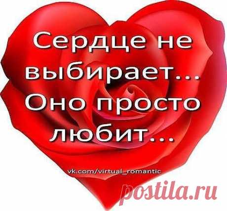 Рассвет распахнется влюбленностью лиц.Плейкасты