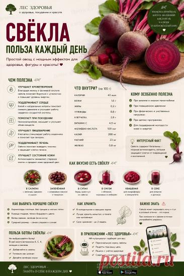 Свекла польза каждый день