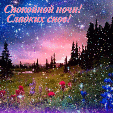 Спокойной ночи, сладких снов
И тихой, мирной ночи.
Пускай приснится добрый сон,
Счастливым будет очень.