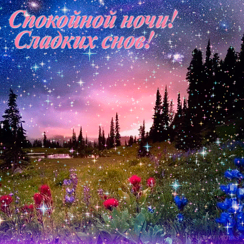 Спокойной ночи, сладких снов
И тихой, мирной ночи.
Пускай приснится добрый сон,
Счастливым будет очень.