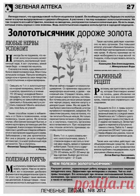 Золототысячник - дороже золота