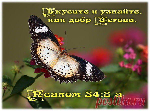 Мой Мир@Mail.Ru