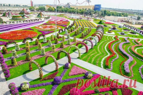 Парк цветов в Дубае...Невероятная красота!