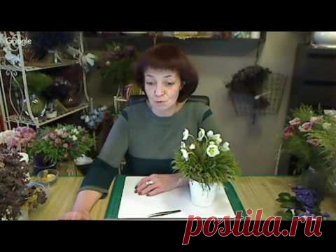 Фиалка