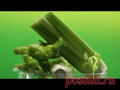 Страшно полезный: за что боготворят сельдерей и чем опасен этот овощ