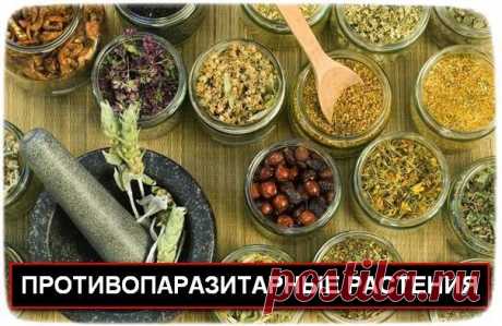 Мой Мир@Mail.Ru